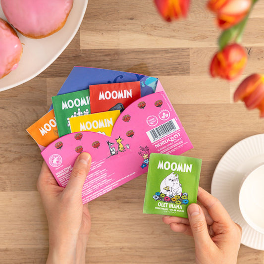 Moomin Letter to a Friend