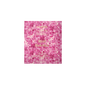 Red Berries 49%